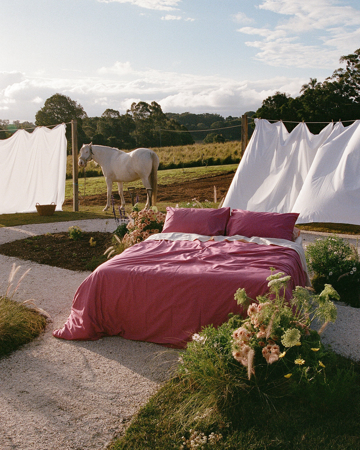 Berry Organic Cotton Percale Bedding Set