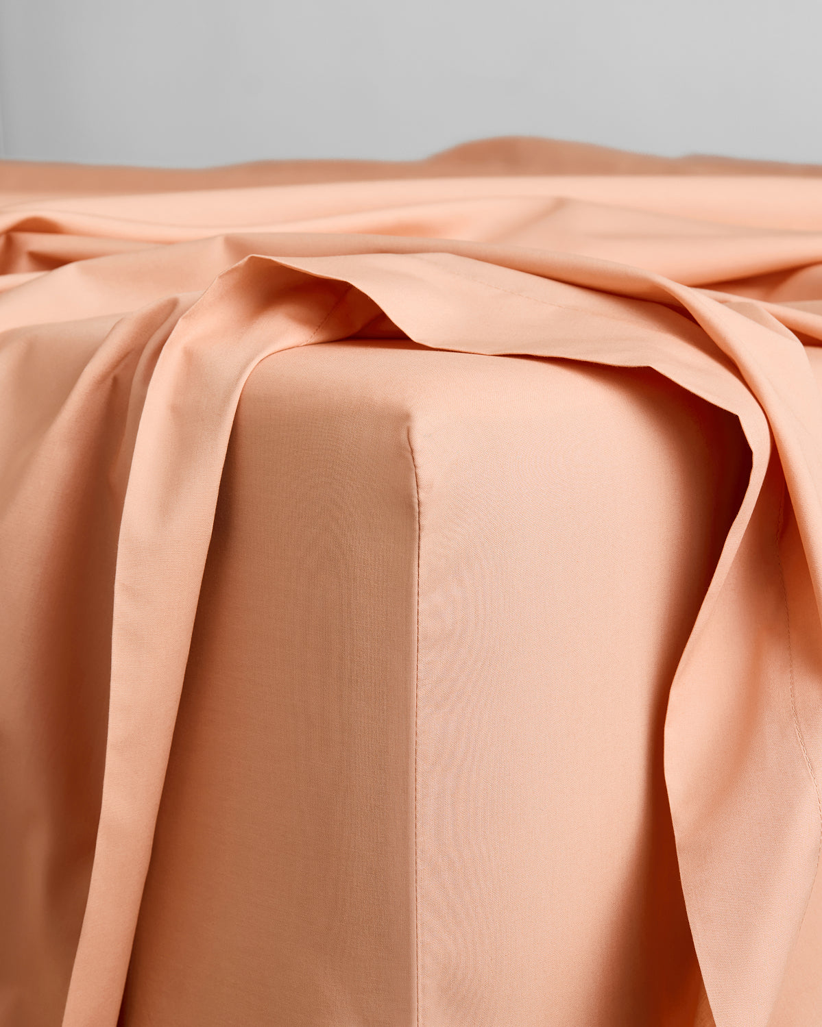 Vanilla & Butterscotch Organic Cotton Percale Bedding Bundle